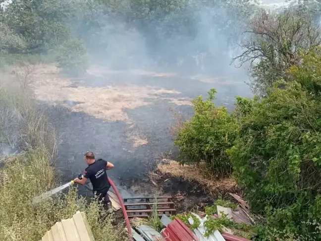 Hatay'da Bahçe Yangını Söndürüldü, Kaplumbağa Kurtarıldı