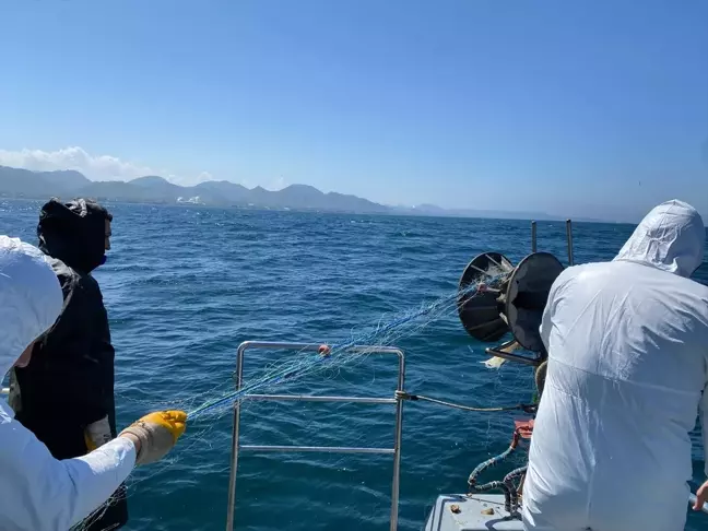 Ordu'da Kaçak Kalkan Balığı Ağı Ele Geçirildi