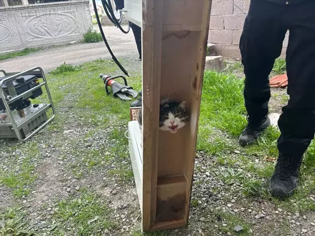Sivas'ta Boğulma Tehlikesi Geçiren Kedi İtfaiye Ekiplerince Kurtarıldı