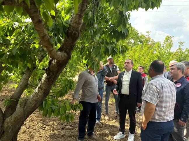 Zirai Don Olayları İçin Meclis Araştırma Komisyonu Kuruldu