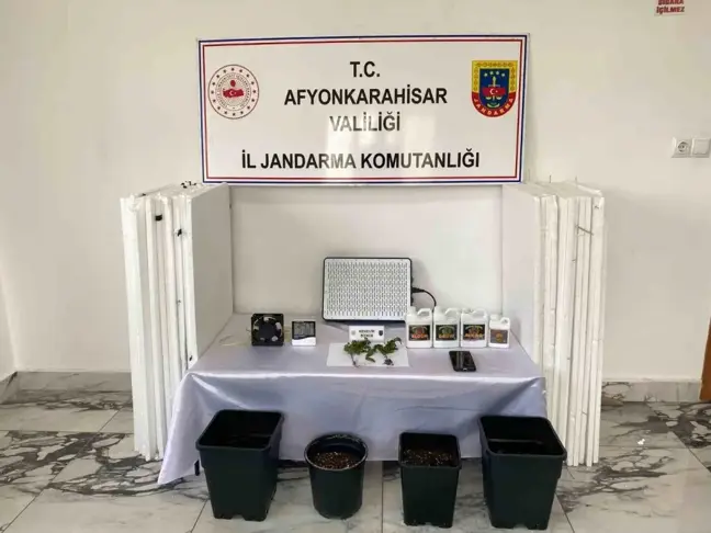 Uyuşturucu Ekin Şahıs Jandarma Tarafından Yakalandı