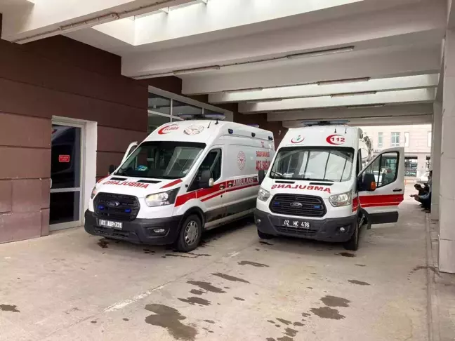 Adıyaman'da Köpek Saldırısına Uğrayan Çocuk Yaralandı