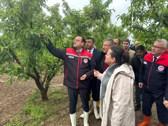 Zirai Donun Tarım Üzerindeki Etkileri İncelendi