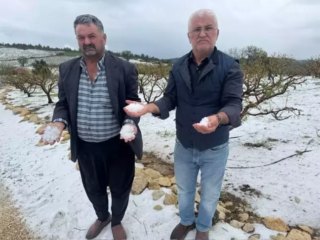 Erdemli'de Dolu Felaketi: Çiftçiler Acil Destek Bekliyor