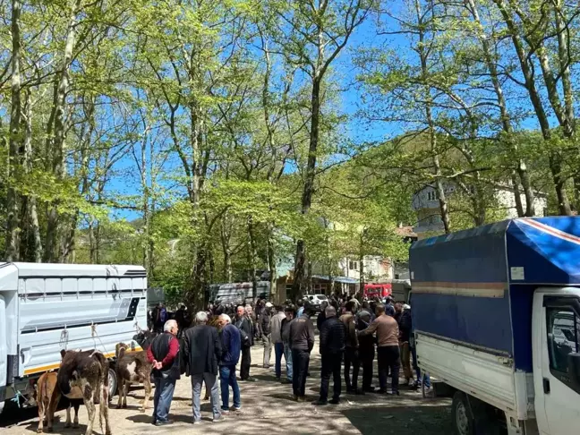 Kurban Bayramı Öncesi Çarşamba Pazarı'nda Hareketlilik
