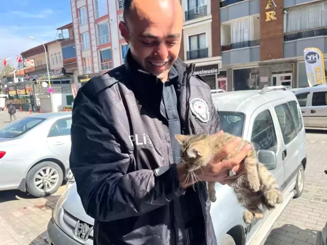 Polis Ekipleri Motor Kısmındaki Yavru Kediyi Kurtardı