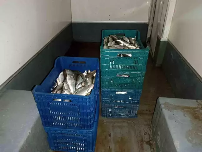 İznik Gölü'nde Yasadışı Avcılığa Geçit Yok