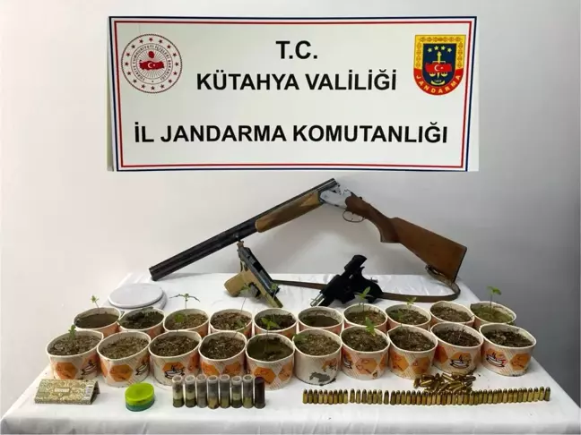 Kütahya'da Kaçakçılık Operasyonu: 25 Kök Kenevir ve Silah Ele Geçirildi