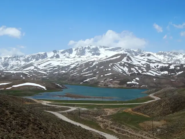 Eğrigöl Yaylası'ndaki Çiçekler Bu Bahar Açmadı, Doğa Tahribatında Artış Var