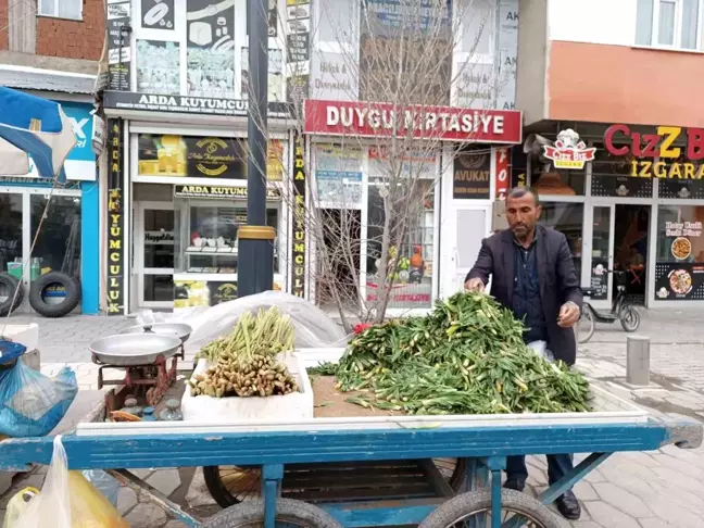 Ağrı'nın Diyadin ilçesinde Işkın ve Çiriş Otları Sezonu Başladı