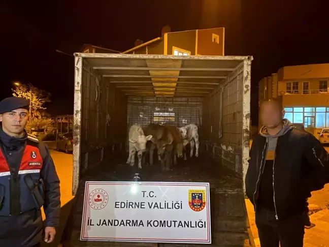 Enez'de Ağıldan Hayvan Hırsızlığı: 2 Şüpheli Yakalandı