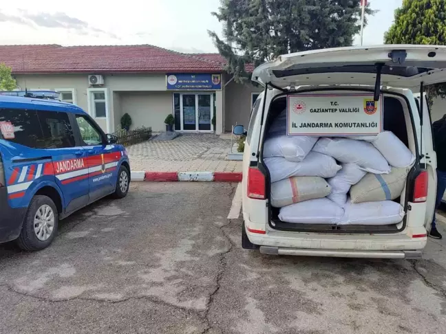 Gaziantep'te Kaçak Tütün Operasyonu: 3 Ton Tütün Ele Geçirildi
