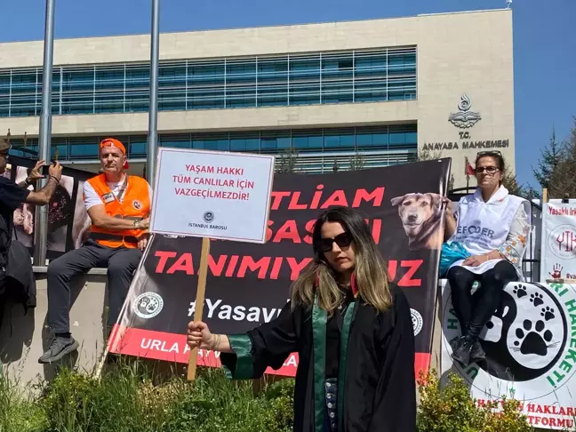 Hayvanseverler AYM Önünde Yasayı İptal Etmek İçin Nöbet Tutuyor