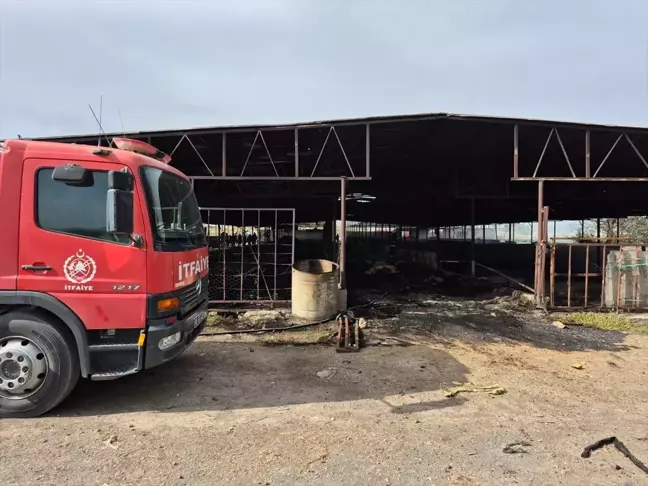 Ceyhan'da Ahır Yangını: 11 Küçükbaş Hayvan Telef Oldu