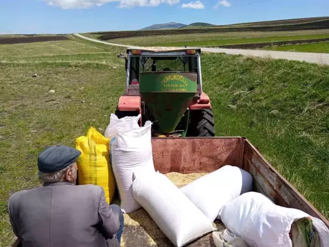 Kars'ta Bahar Ekinleri Toprakla Buluşuyor