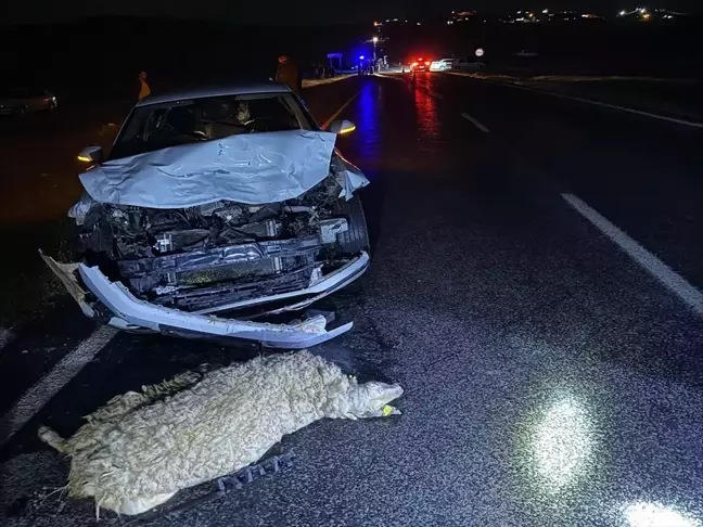 Siverek'te Koyun Sürüsüne Çarpan Otomobilde 3 Yaralı