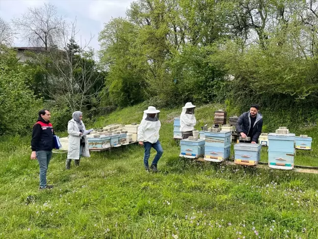 Yığılca'da Hayvan Genetik Kaynaklarının Korunması Projesi Başlatıldı