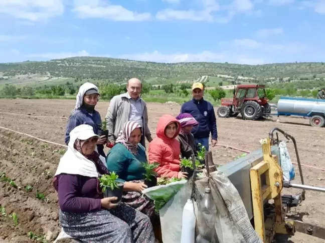 CHP Selendi İlçe Başkanları Anneler Günü'nde Tarlada Çalışan Kadınları Ziyaret Etti