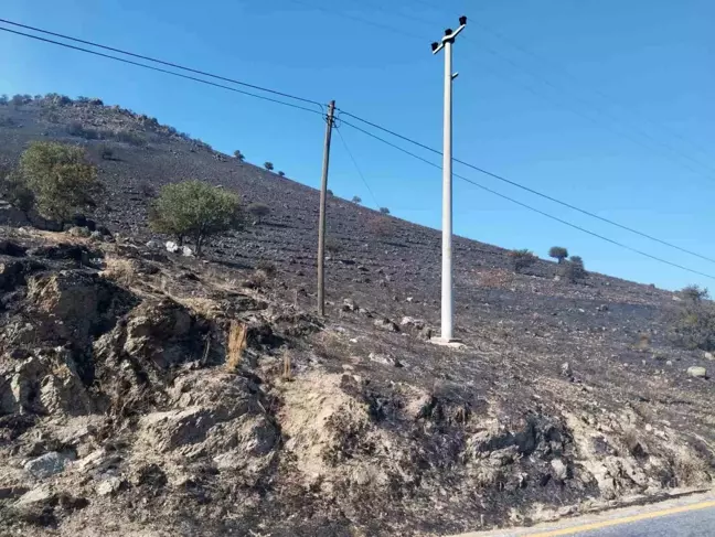 Aydın'ın Karpuzlu ilçesinde çıkan yangın kontrol altına alındı