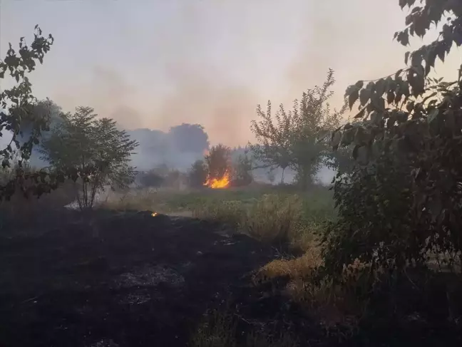 Erzin'de otluk alanda çıkan yangın söndürüldü