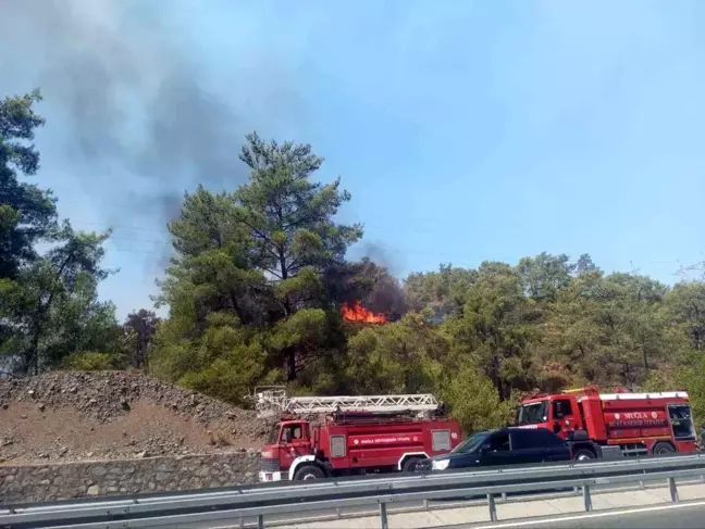 Muğla'da orman yangını kısmen kontrol altına alındı