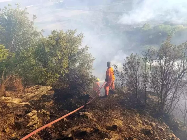 Aksu'da Orman Yangını: Havadan ve Karadan Müdahale Başlatıldı