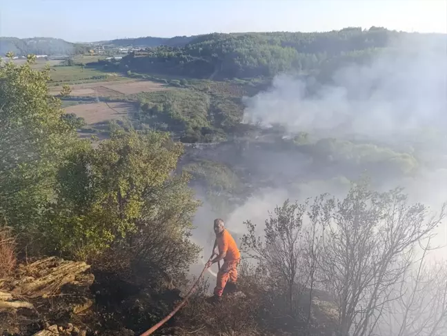 Antalya Aksu'da Orman Yangınına Hava ve Kara Müdahalesi