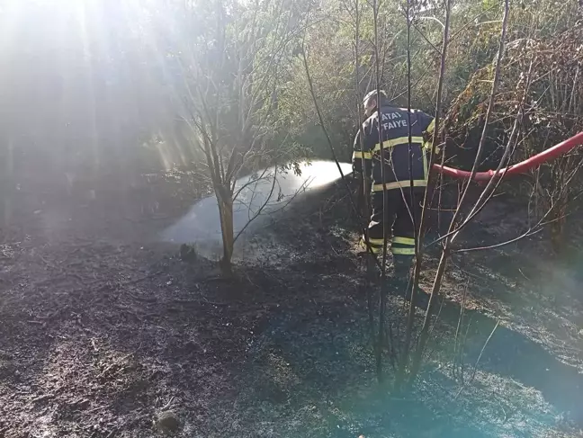 Hatay'da Bahçe Yangını İtfaiye Ekipleri Tarafından Söndürüldü