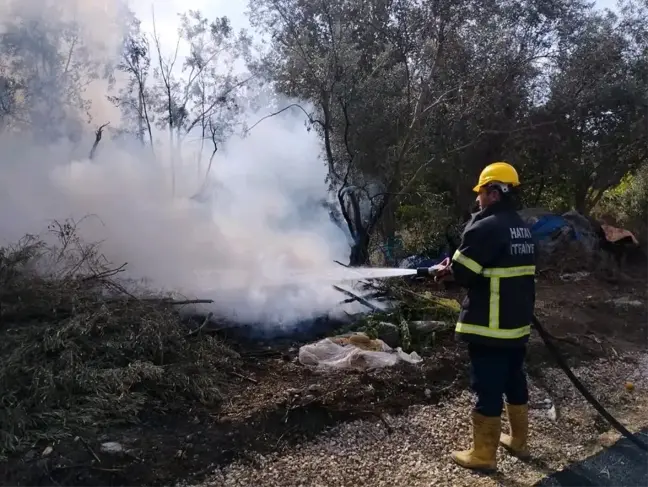 Hatay'da Zeytinlik Alanda Yangın Çıktı