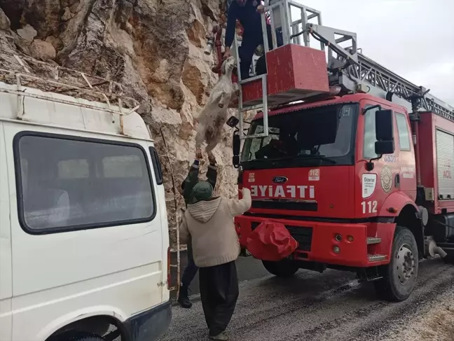 Kayalıklardaki 3 Keçi İtfaiye Ekipleri Tarafından Kurtarıldı