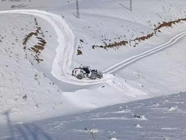 Hakkari'de Karla Mücadele Çalışmaları Başlatıldı