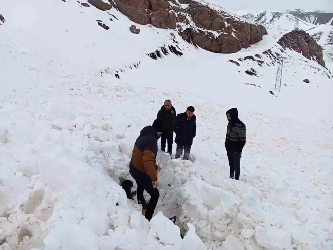 Şırnak'ta Çığ Düşmesi: Kepçe Operatörü Kar Altında Kaldı