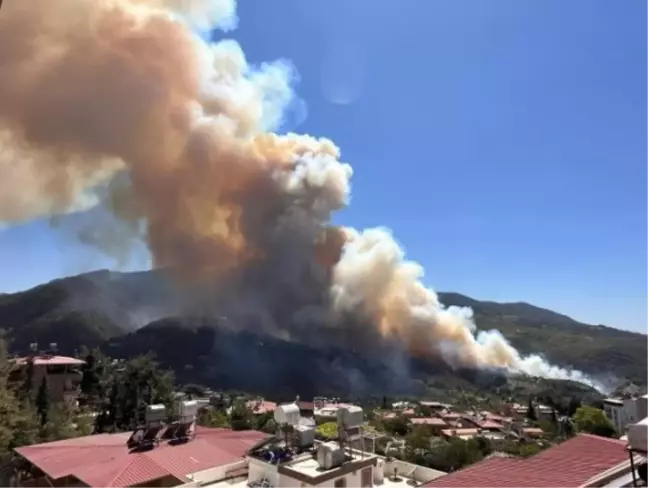 Hatay Belen'de orman yangını nasıl çıktı? Hatay orman yangını söndürüldü mü?