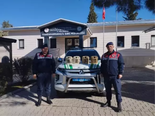 Konteyner kentte kınalı keklik bulunduran kişiye yüksek para cezası