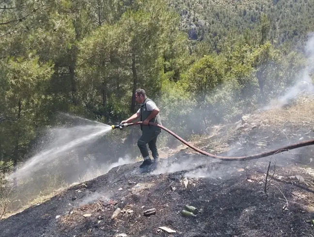 Adana'da çalılık yangını kontrol altına alındı