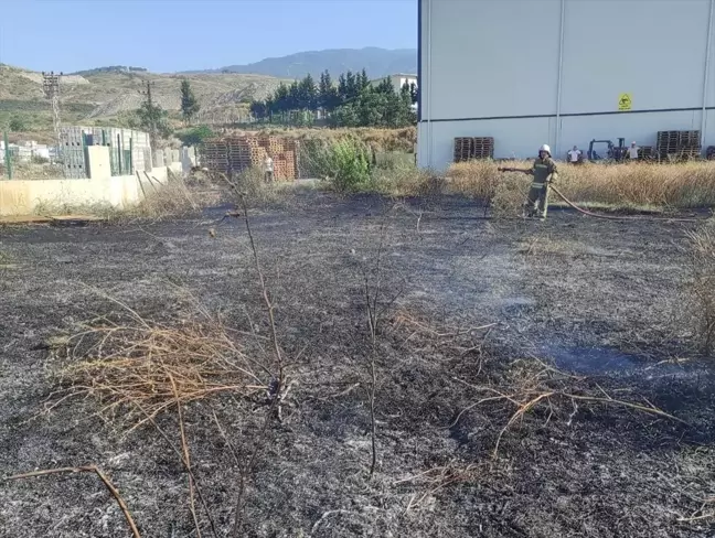 Hatay'ın Arsuz ilçesinde çıkan yangın söndürüldü