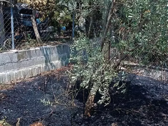 Hatay'ın Defne ilçesinde evin bahçesinde çıkan yangın söndürüldü