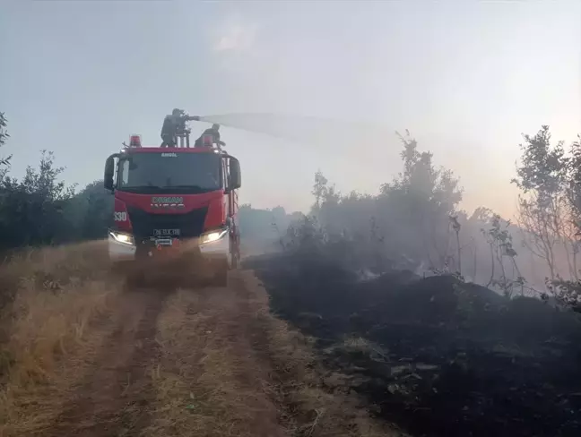 Bingöl'ün Genç ilçesinde orman yangını çıktı