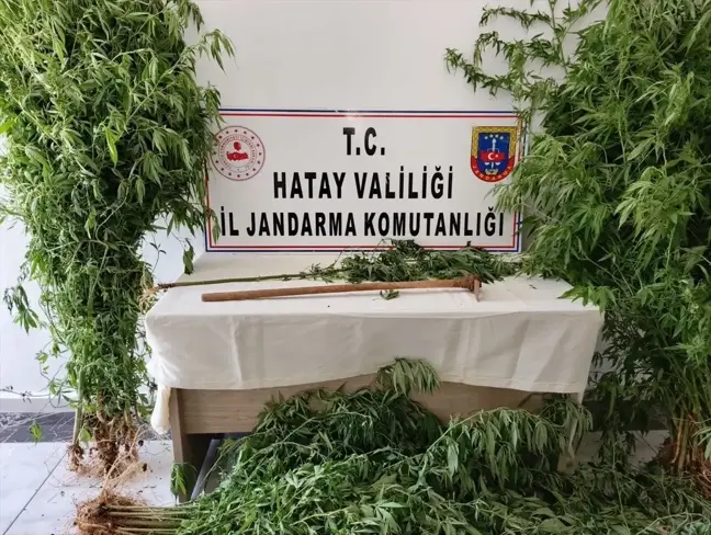 Hatay'da uyuşturucu ve kaçakçılık operasyonunda 18 kişi gözaltına alındı