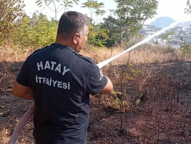 Hatay'ın Defne ilçesinde çıkan bahçe yangını söndürüldü