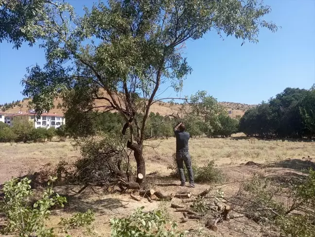 Sivrice Belediyesi Hazar Gölü kıyısında çevre temizliği yaptı