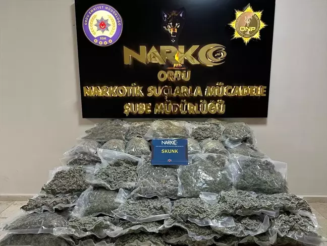 Ordu'da 68 Kilo Skunk Ele Geçirildi, İki Şüpheli Tutuklandı