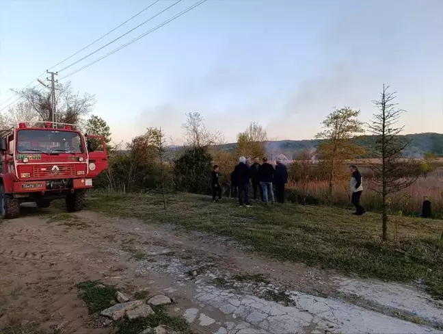 Sakarya'nın Karasu İlçesinde 50 Dönüm Alan Yangında Zarar Gördü