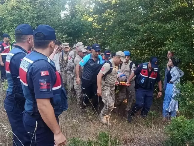 Sinop'ta Alzheimer hastası yaşlı adam ormanda bulundu