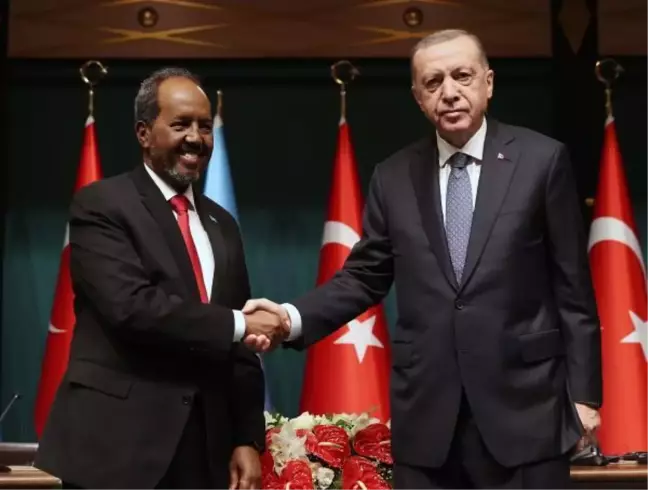 Erdoğan: Afrika'daki tüm kardeşlerimizle iş birliğimizi artırmaya gayret ediyoruz