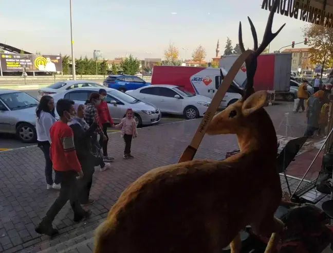 Bu dükkana gelenleri geyikler ve çitalar karşılıyor