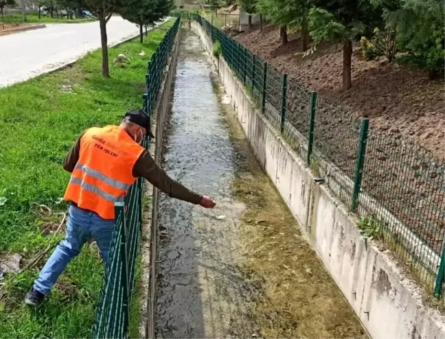 Gediz'de larva ilaçlama çalışmaları başlatıldı