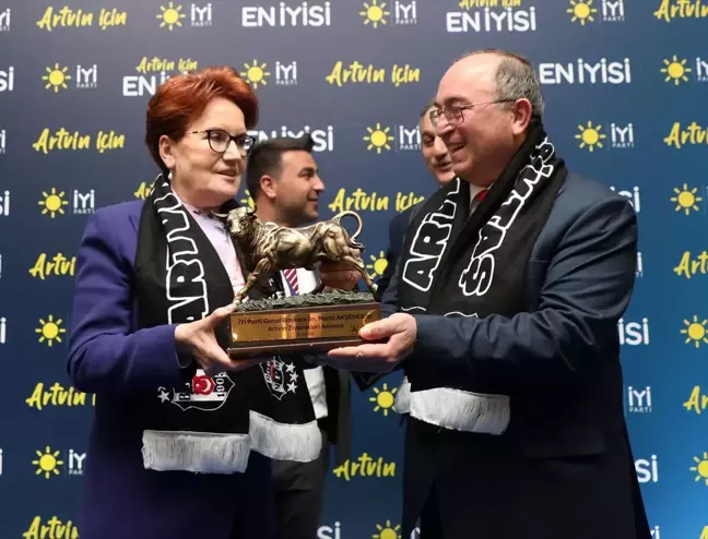 Meral Akşener: Bu seçimlere hür ve müstakil olarak giriyoruz