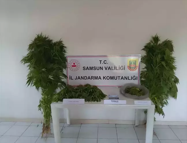 Samsun'da uyuşturucu operasyonu: 1 şüpheli gözaltına alındı