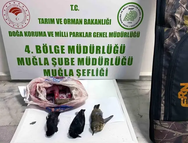 Muğla'da Kaçak Avcılara Cezalar Kesildi